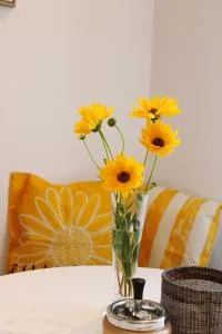 Apartman Luce - Sršići