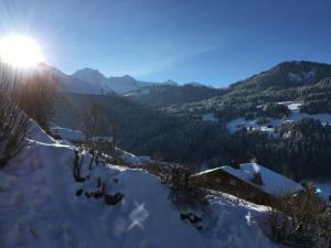 Chalets chalet artheis : photos des chambres