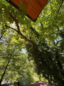 Bar Restaurant Hotel Gysi