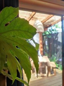 Love hotels Kanopya : photos des chambres