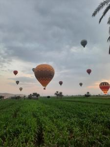 The royal flat for rent