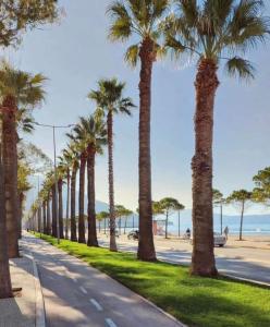 Berg Seaview Vlore Vlora