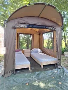 Pole Namiotowe Kogutowo - Wojciechów