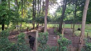 Privé studio in groene omgeving van Brugge fietsen & parkeerplaats inbegrepen