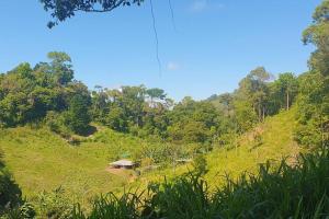 Amys Gästehaus, Permakultur Finca in Puntarenas, Canton de Osa