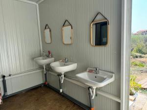 Unique Stay at Olive Camping