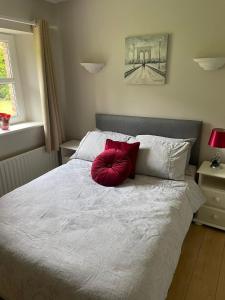 Cottage in the Dublin mountain