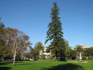 Inner City 4 Level Luxury Townhouse & Lift 3BR 3BTH