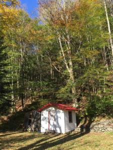 Catskill Cabin Chill Apartment 1st Fl