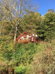Catskill Cabin Chill Apartment 1st Fl
