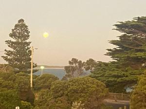 Special Art Deco Apartment and Spectacular Bay Views