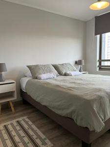 Departamento Ejecutivo Concepción