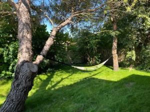 Maisons de vacances Les 3 voeux : Maison de Vacances 3 Chambres 