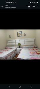 العين السخنه