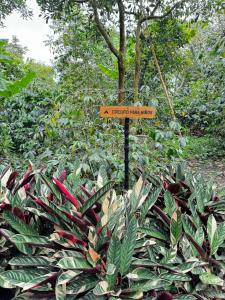 Hotel La Palma y El Tucán - Café y Naturaleza