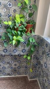 Rudram Hotel Yoga & Ayurveda Retreat