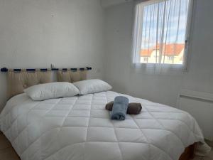 Appartement 45m² à Notre-Dame-de-Monts pour 4 pers avec parking - FR-1-540-294