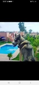 Ferme Hind , magnifique ferme avec grande piscine et un jardin splendide - Guemassa