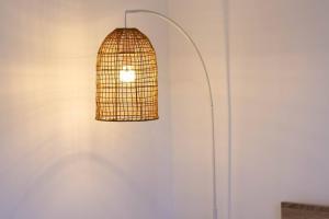 Evergreen on Baillie