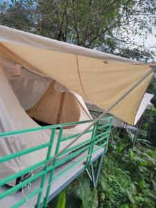 Lều glamping thác pa sỹ