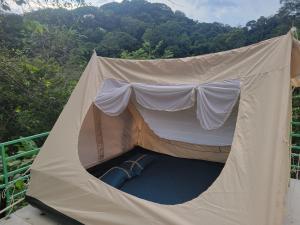 Lều glamping thác pa sỹ