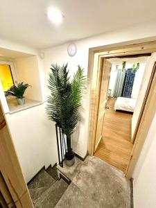 Cala Peppa Apartments