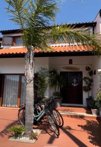 O CANTINHO DA RIA - JACUZZI with water at 35 degrees and POOL