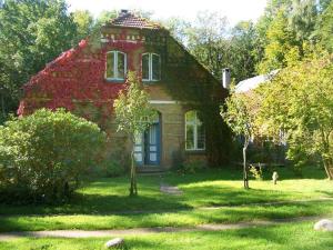Ferienwohnung Kiekut im Ostseewaldhaus