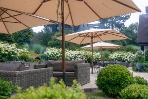 Les Pins de César - La campagne dEtretat