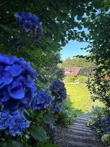 Les Pins de César - La campagne dEtretat