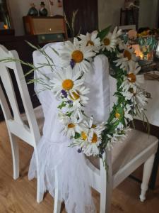 B&B Bauernhofferien auf Møn