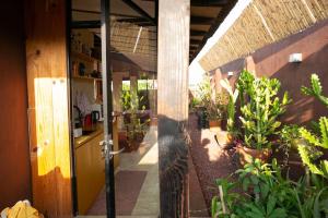 Rooftop Glass House in Old Town