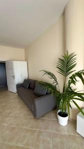 Апартаменты в комлексе Belvedere Residence Бечичи