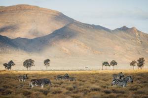 Aquila Private Game Reserve & Spa