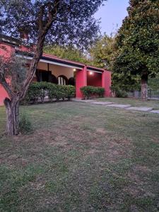 Allombra della magnolia