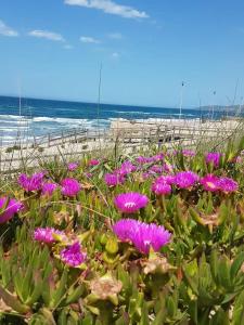 Appartement Anatra img20