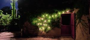 Maisons de vacances Le jardin du Grand Chemin : photos des chambres