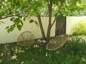 Maisons de vacances Mas du moulin neuf, holidayhome with private garden and jacuzzi : photos des chambres