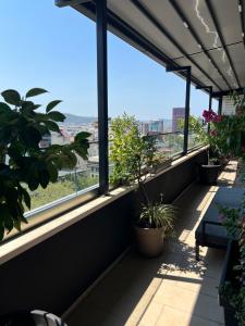 Rooftop City Light Tirana