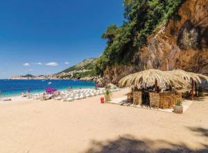 Apartment Nature View