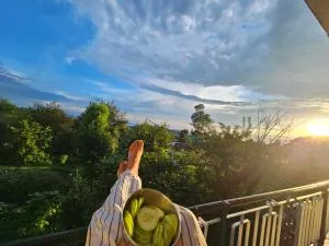 Dadi Homestay 360 Mountain View - Biling