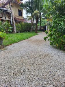 Turtle Island - Homestays