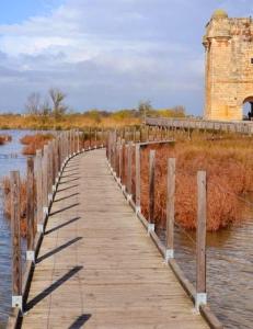 Maisons de vacances Charmant appartement au calme situe en Camargue : photos des chambres