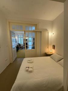 Aliados Historic Downtown Apartments by LuxiStay