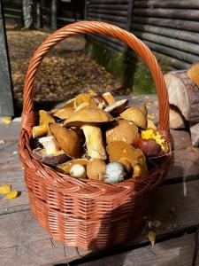 Domek u Rybaka na Mazurach z basenem