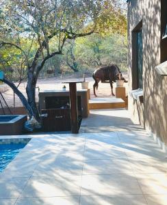 Vivo Per Lei - Marloth Park