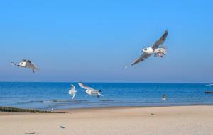 Amazing Home In Postomino With Wifi