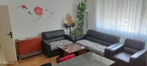 Apartman TWINS - Alsósáskalapos