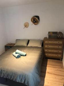 Appartements Appartement Cosy-Grand Stade Villeneuve d-Ascq : photos des chambres