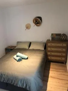 Appartement Cosy-Grand Stade Villeneuve d'Ascq - Lezennes